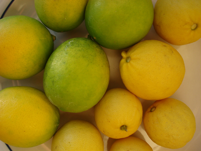 10.10 Citrus 2c 10.2#C8E68D