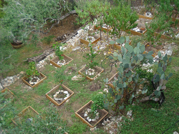 10.11 Citrus 5 11.10#C8E6B4