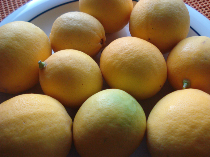 10.12 Citrus 7 12.1 #C8E68E