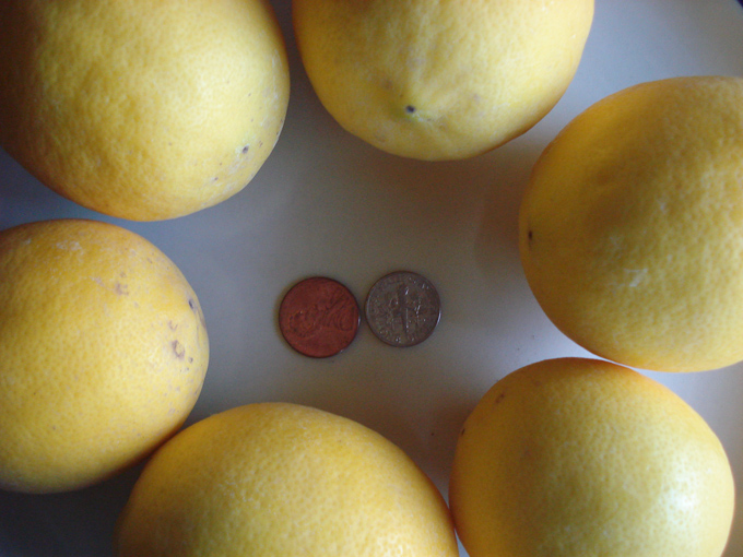 10.12 Citrus 7 12.1 #C8E695