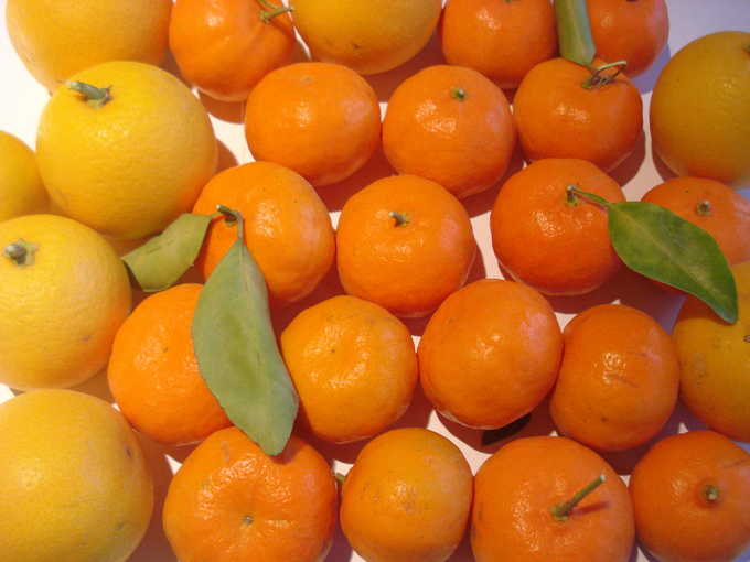 10.12 Citrus 9 12.17#C8E9EC