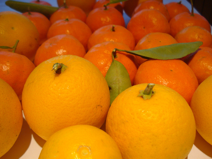 10.12 Citrus 9 12.17#C8E9ED