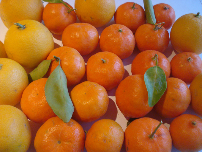 10.12 Citrus 9 12.17#C8E9F1